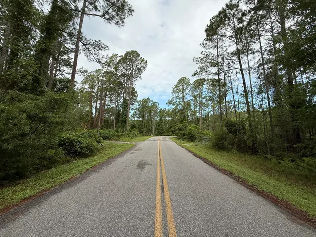 a view of a road with a yard and large trees