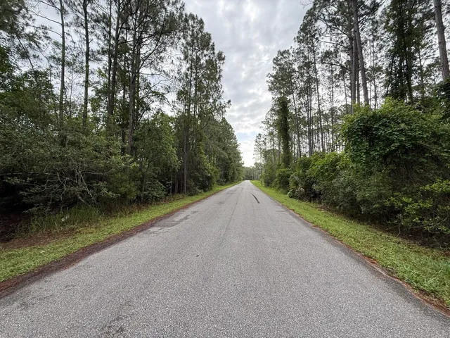 a view of a road with a yard and a large trees