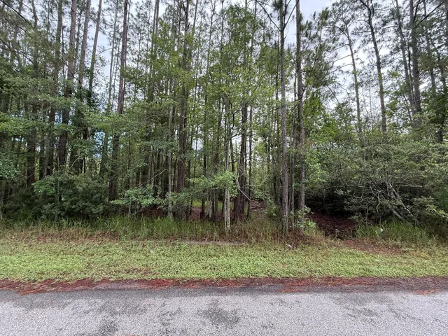 a backyard of a house with lots of green space and trees
