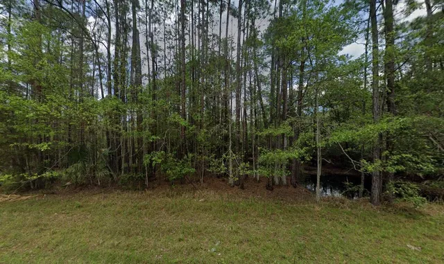 a backyard of a house with lots of trees