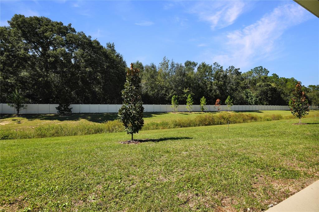 6182 Southwest 64th Terrace Ocala, FL 34474 - Photo 20 of 23