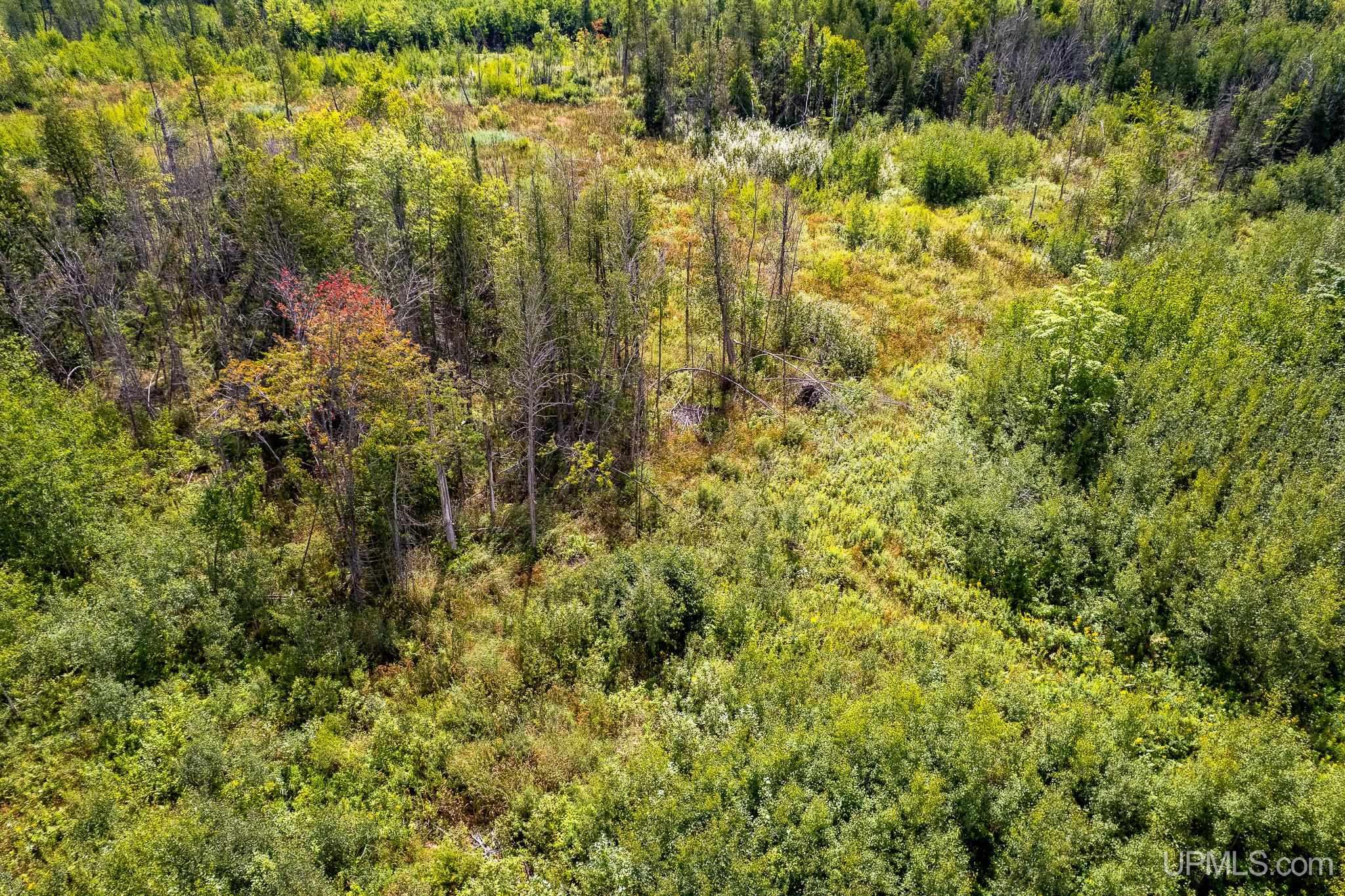Tbd 19th Lane Escanaba, MI 49829 - Photo 11 of 16