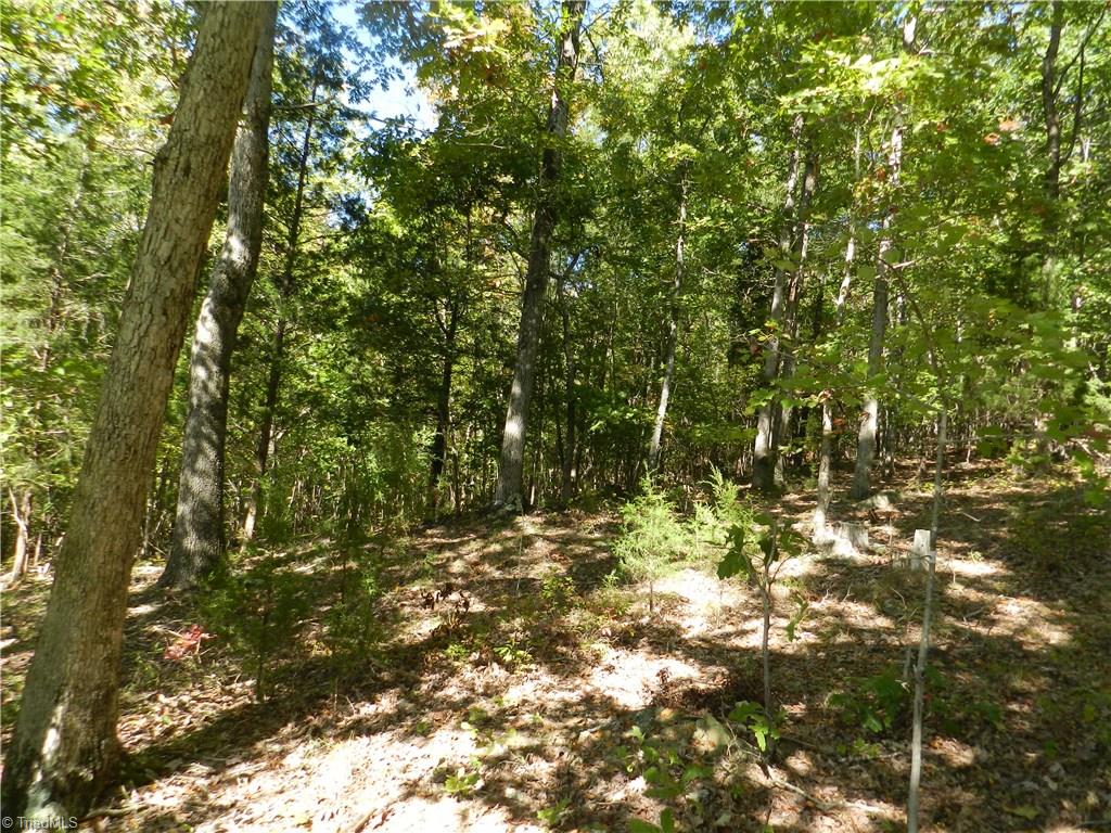 0 Stable Brook Road Asheboro, NC 27205 - Photo 3 of 7 Gallery Image 3