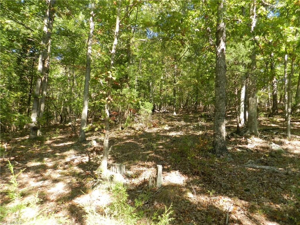0 Stable Brook Road Asheboro, NC 27205 - Photo 4 of 7 Gallery Image 4