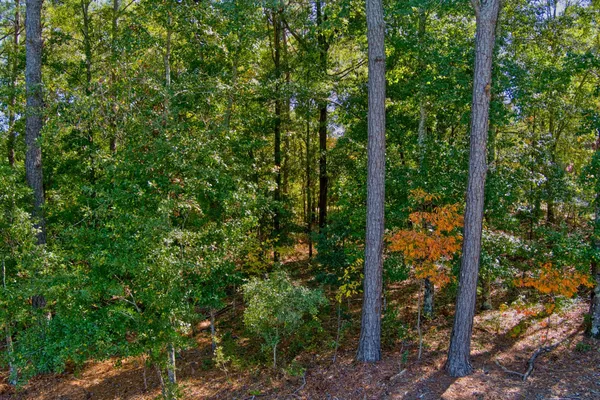 $45,000 | 2101 Cardigan Drive, Aiken, SC 29803