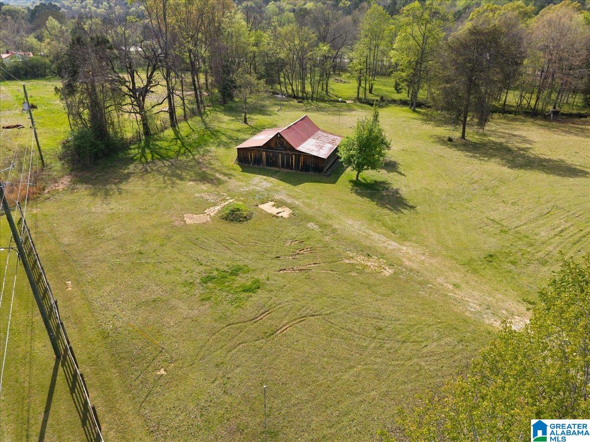 19865 Remlap Drive Remlap, AL 35133 - Photo 45 of 54
