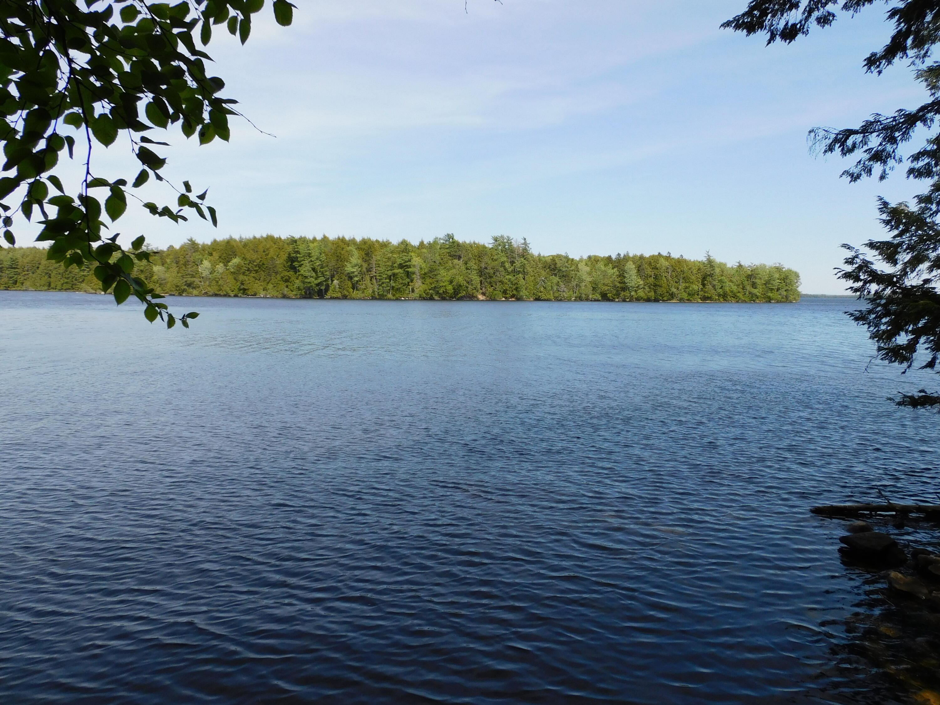 Lot 2 Big Lake Shores Road Princeton, ME 04668 - Photo 3 of 10 DSCN0091