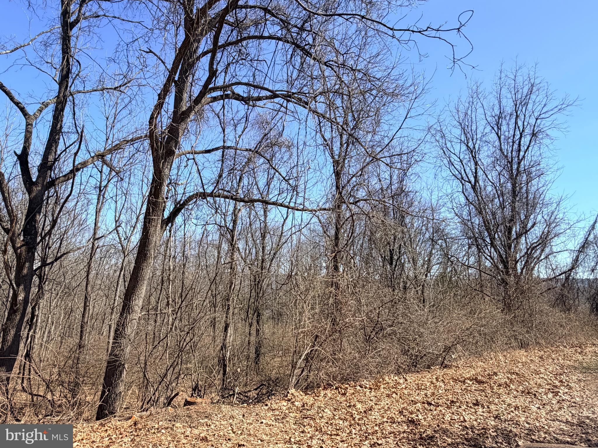 8.3 Ac Hustontown, PA 17229 - Photo 3 of 6