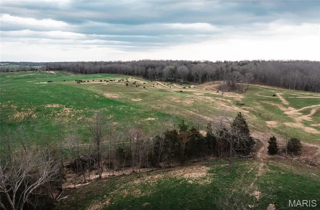 $560,000 | 0 Kofahl Road, Licking, MO 65542