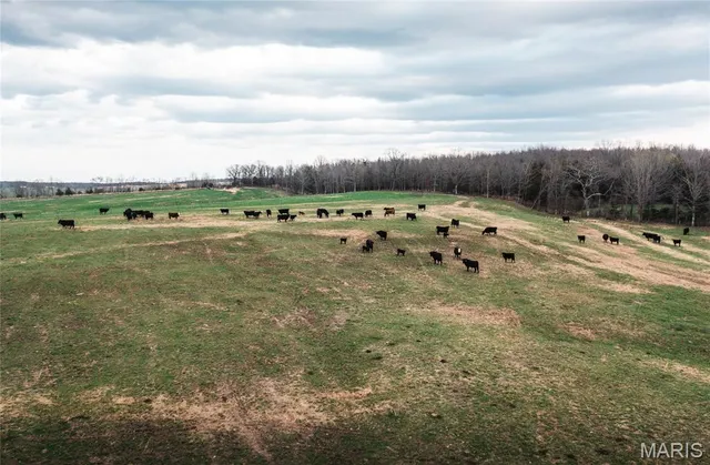 $560,000 | 0 Kofahl Road, Licking, MO 65542