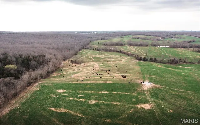 $560,000 | 0 Kofahl Road, Licking, MO 65542