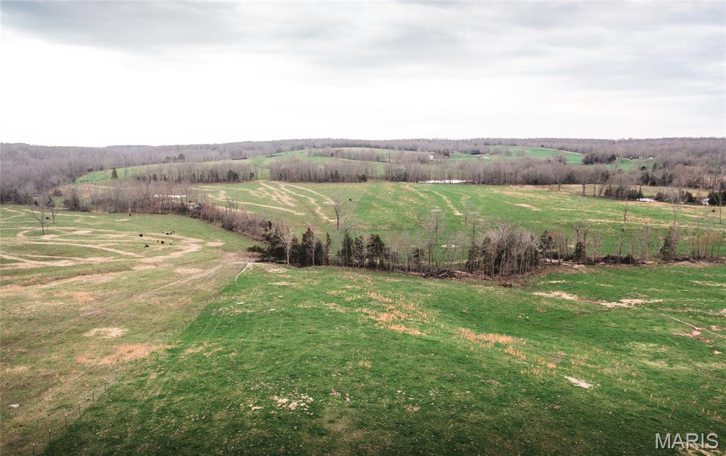 0 Kofahl Road Licking, MO 65542 - Photo 10 of 22