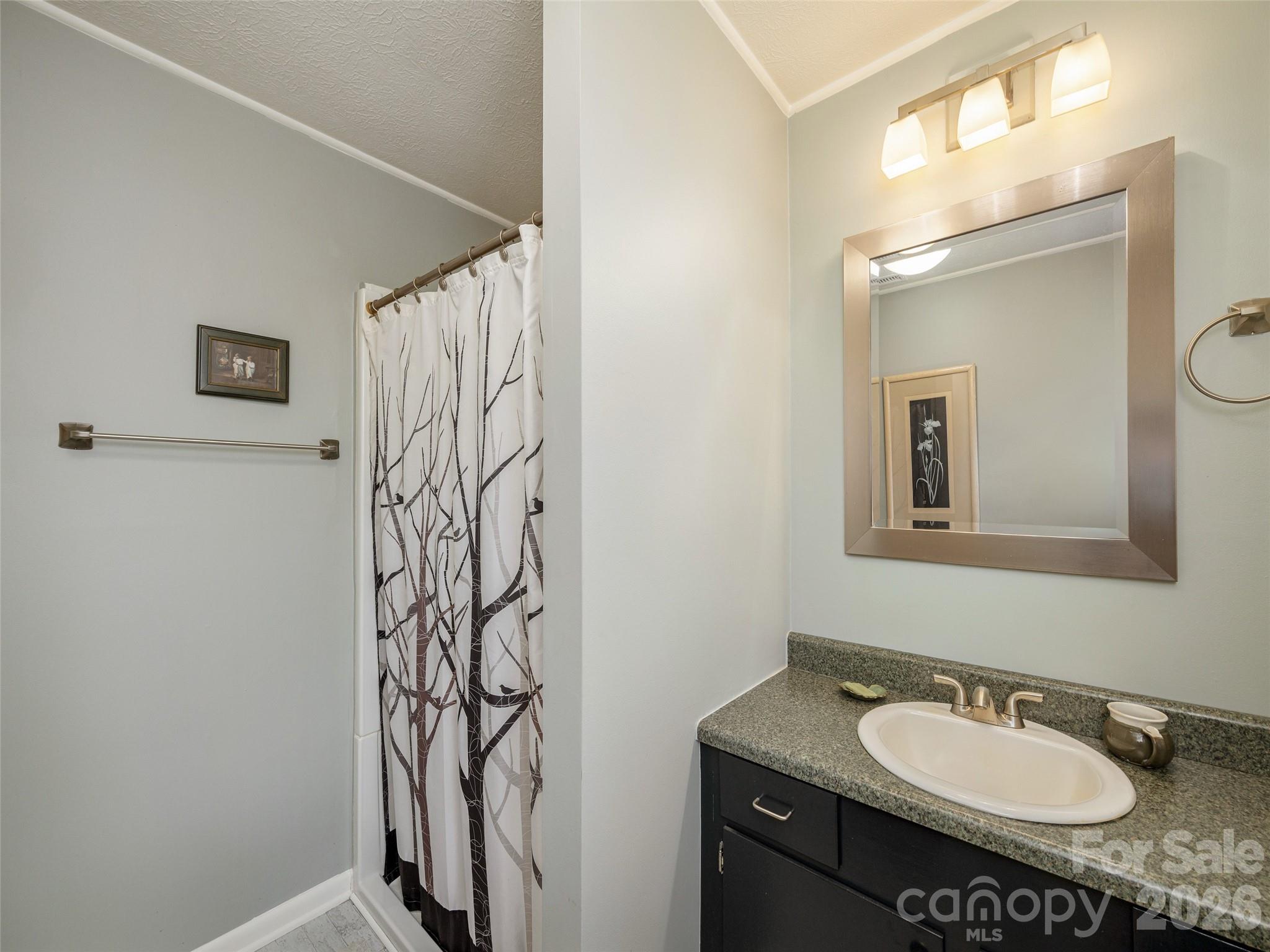 54 Bear Rock Loop Road Hendersonville, NC 28739 - Photo 13 of 21