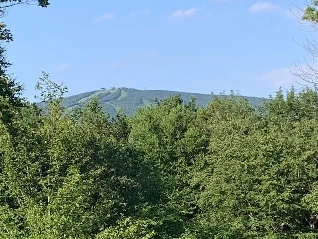 $519,000 | 16 Nutmeg Lane, West Dover, VT 05356