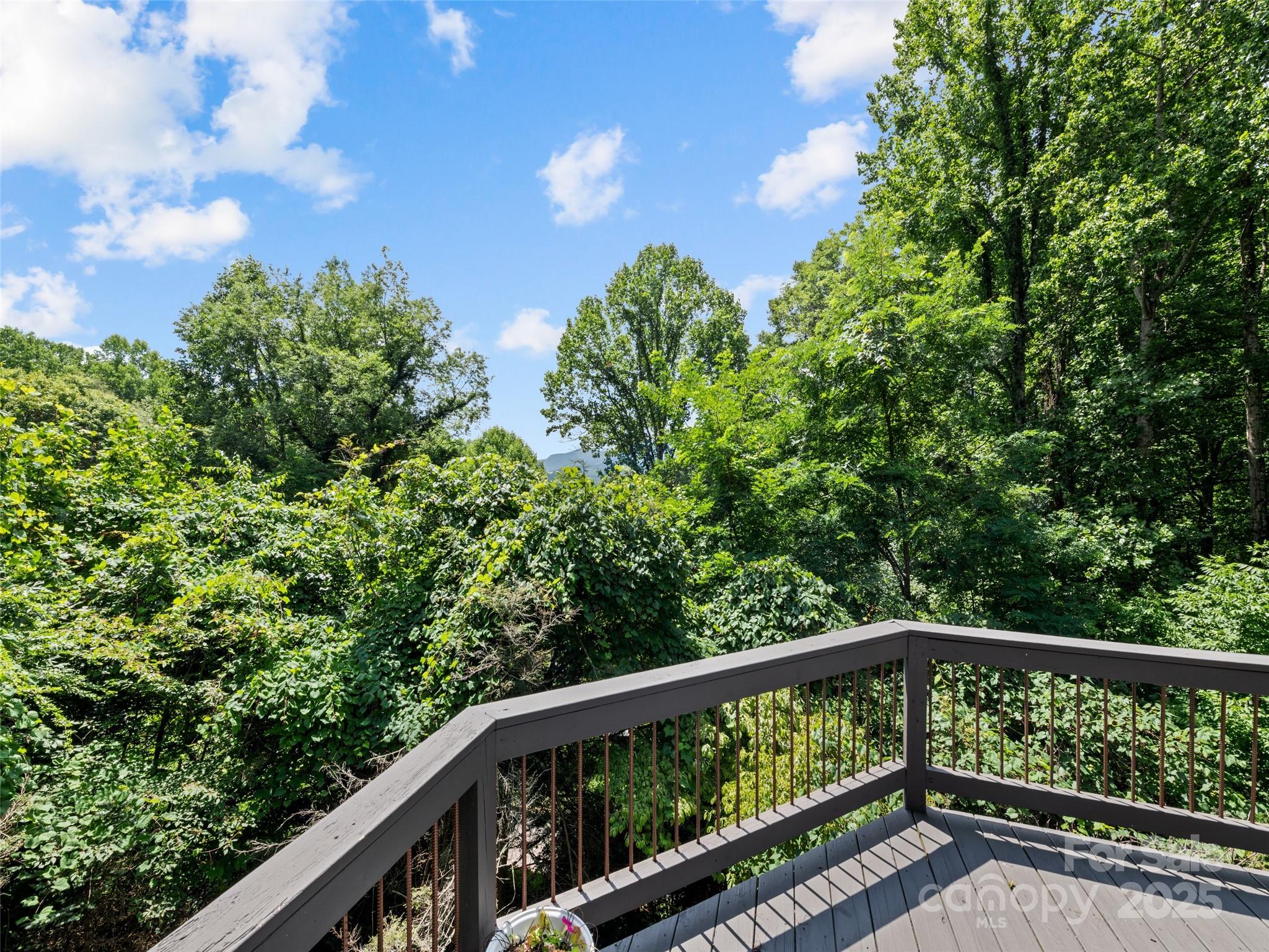 83 Rocky Rdg Road Sylva, NC 28779 - Photo 26 of 28 Gallery Image 26