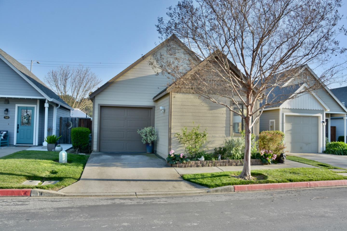 738 Natalie Drive Morgan Hill, CA 95037 - Photo 2 of 37 a front view of a house with a yard and potted plants
