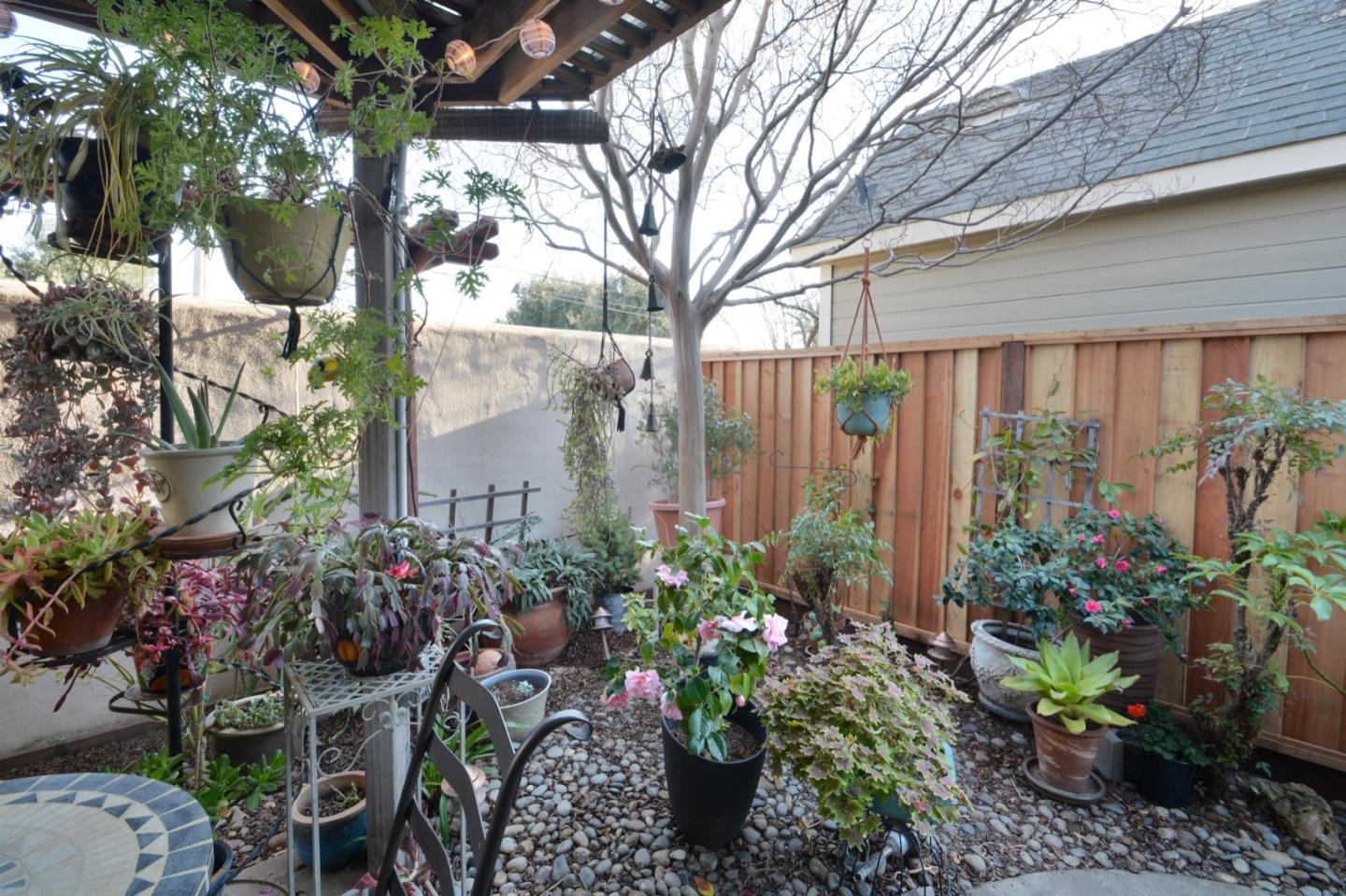 738 Natalie Drive Morgan Hill, CA 95037 - Photo 29 of 37 a view of a backyard with plants