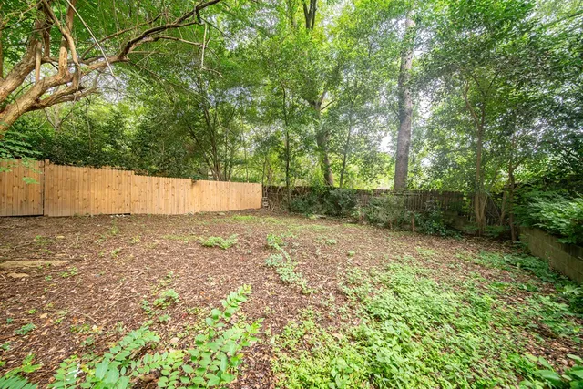 a view of backyard and outdoor space