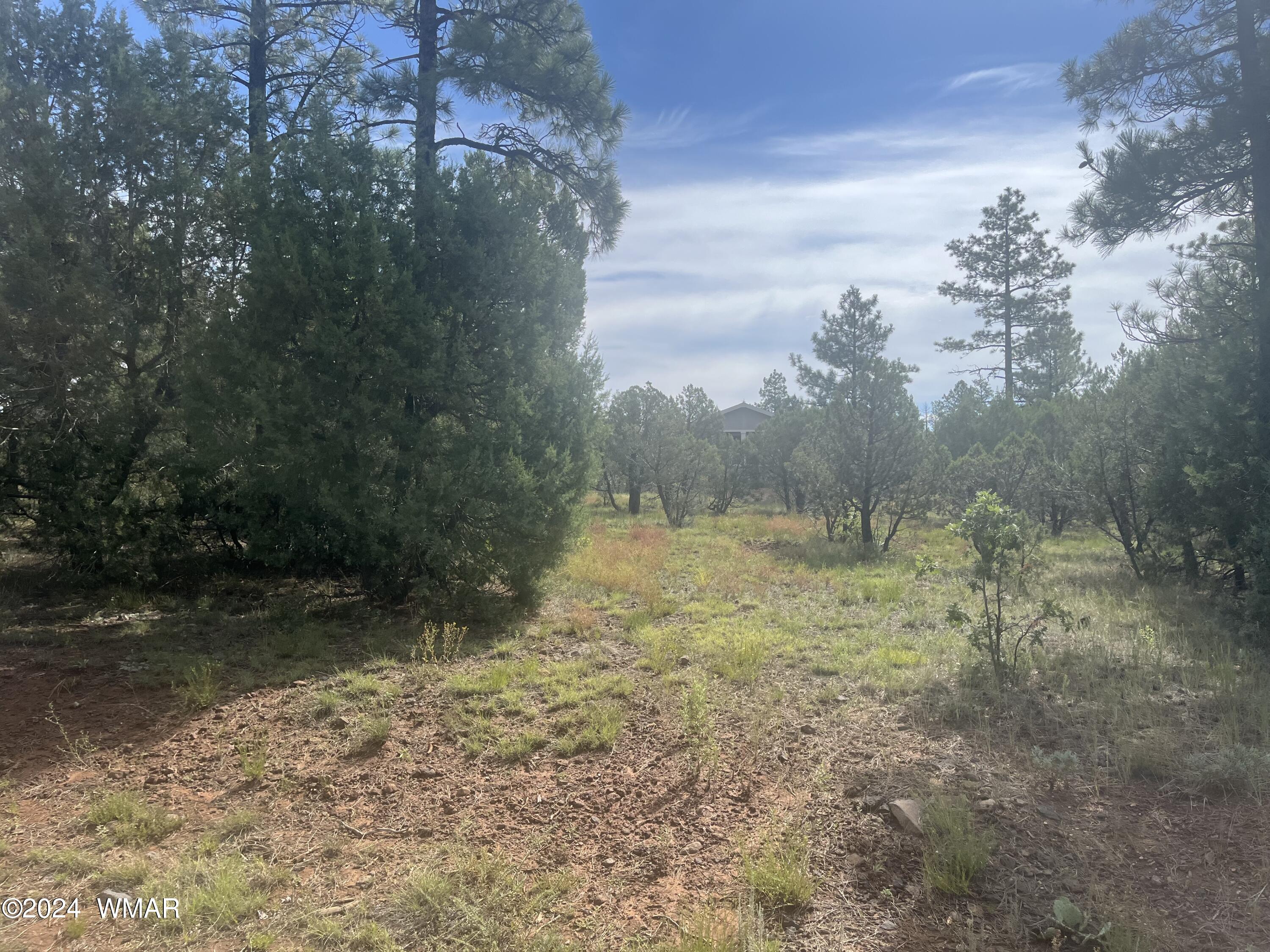5481 Red Squirrel Lane Lakeside, AZ 85929 - Photo 1 of 5 Lot. 55