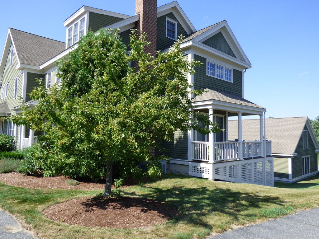 35 Lancaster County Road, Unit 10C Harvard, MA 01451 - Photo 4 of 7