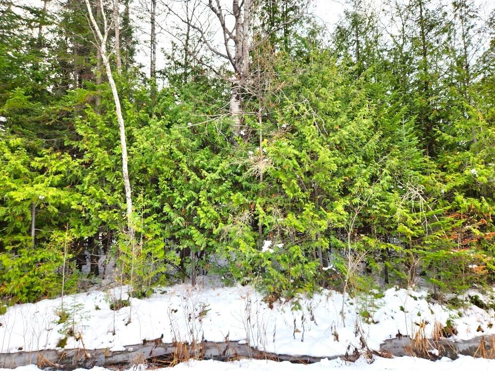 Nhn East Hubert Road Spruce, MI 48762 - Photo 1 of 5 Gallery Image 1