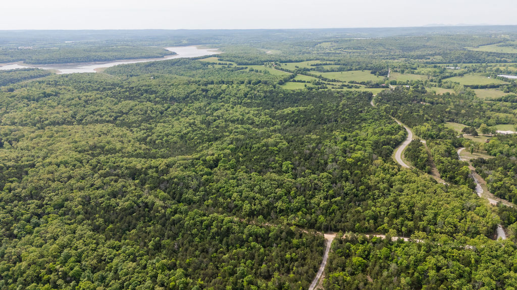 1 Horseshoe Bnd Road Lead Hill, AR 72644 - Photo 8 of 46 Expansive wooded landscape featuring a winding road and distant water