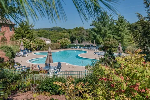a view of a swimming pool with a patio