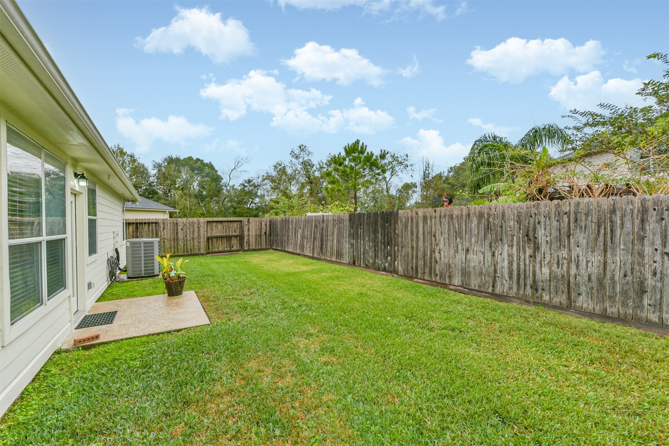 1065 Brigid Court Dickinson, TX 77539 - Photo 37 of 37 a garden with plants and large trees