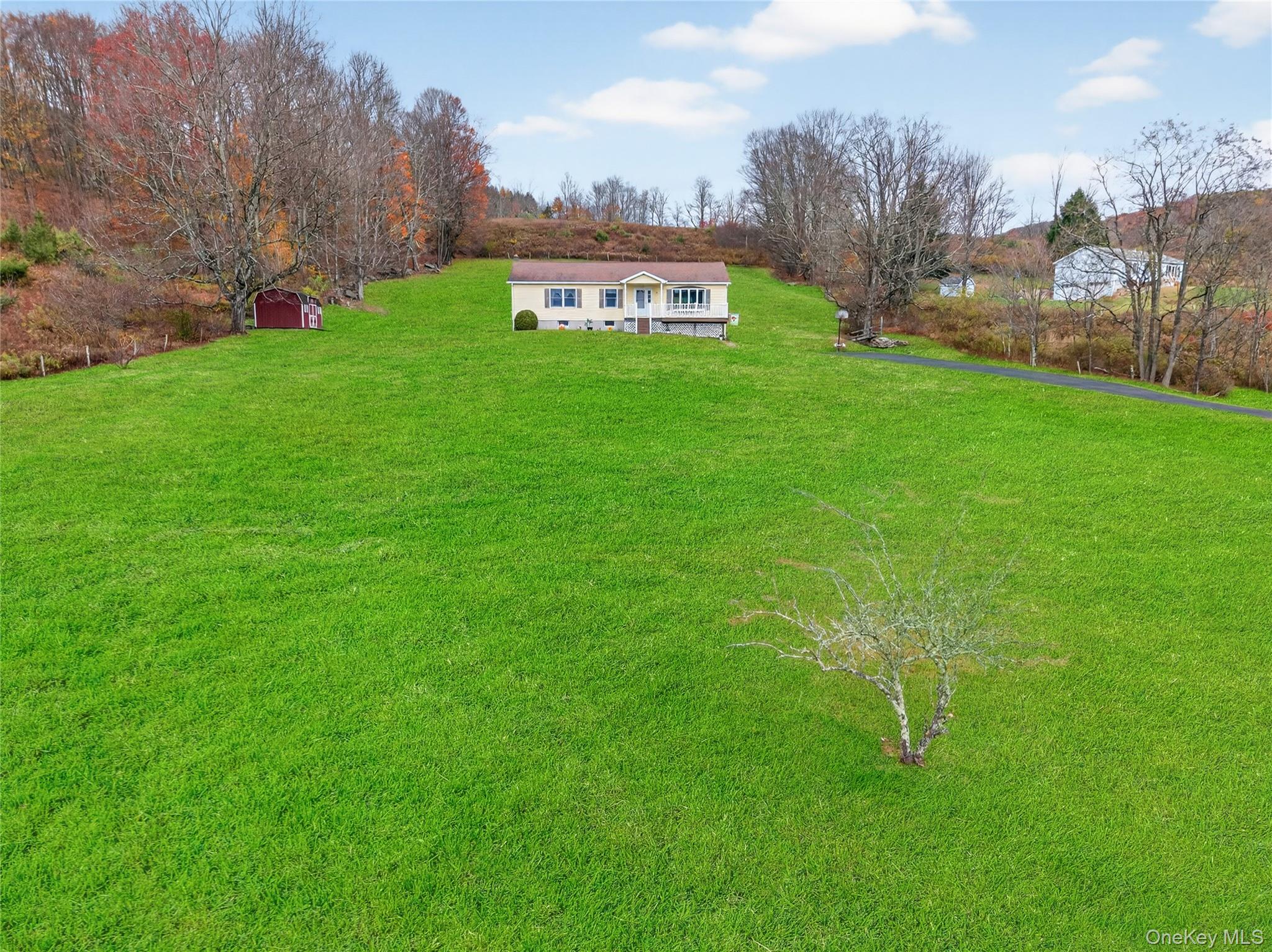 812 Obernberg Road North Branch, NY 12766 - Photo 4 of 43 a view of a big yard with large trees