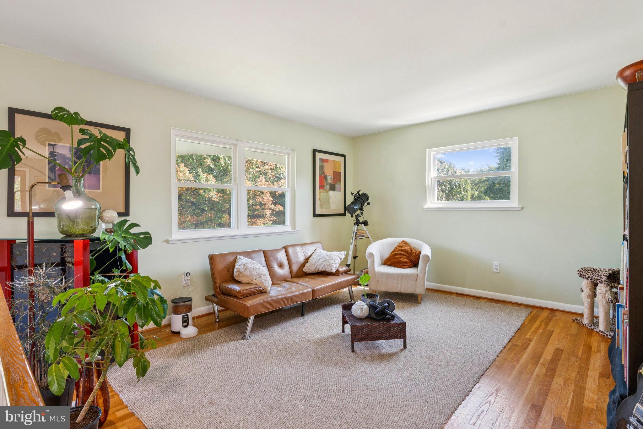 6200 Gilston Park Road Catonsville, MD 21228 - Photo 5 of 34 a living room with furniture and a potted plant
