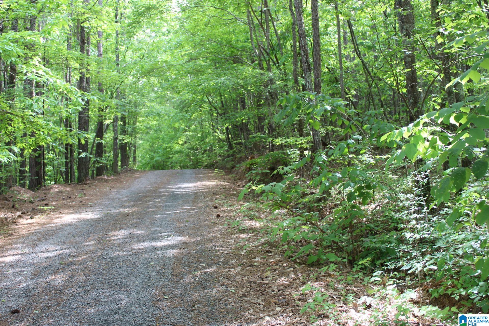 270 Duke School Road Wellington, AL 36279 - Photo 76 of 80