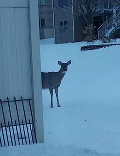 $389,000 | 948 Southern Ridge Drive Southwest, Rochester, MN 55902