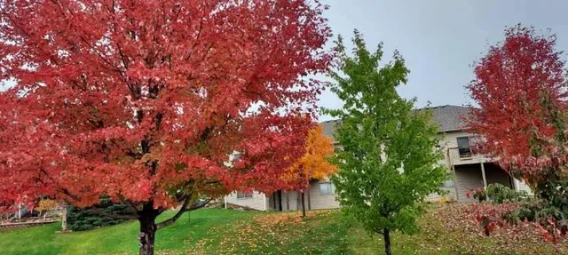 $389,000 | 948 Southern Ridge Drive Southwest, Rochester, MN 55902