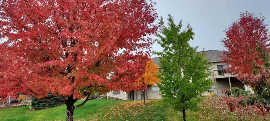 948 Southern Ridge Drive Southwest Rochester, MN 55902 - Photo 31 of 35
