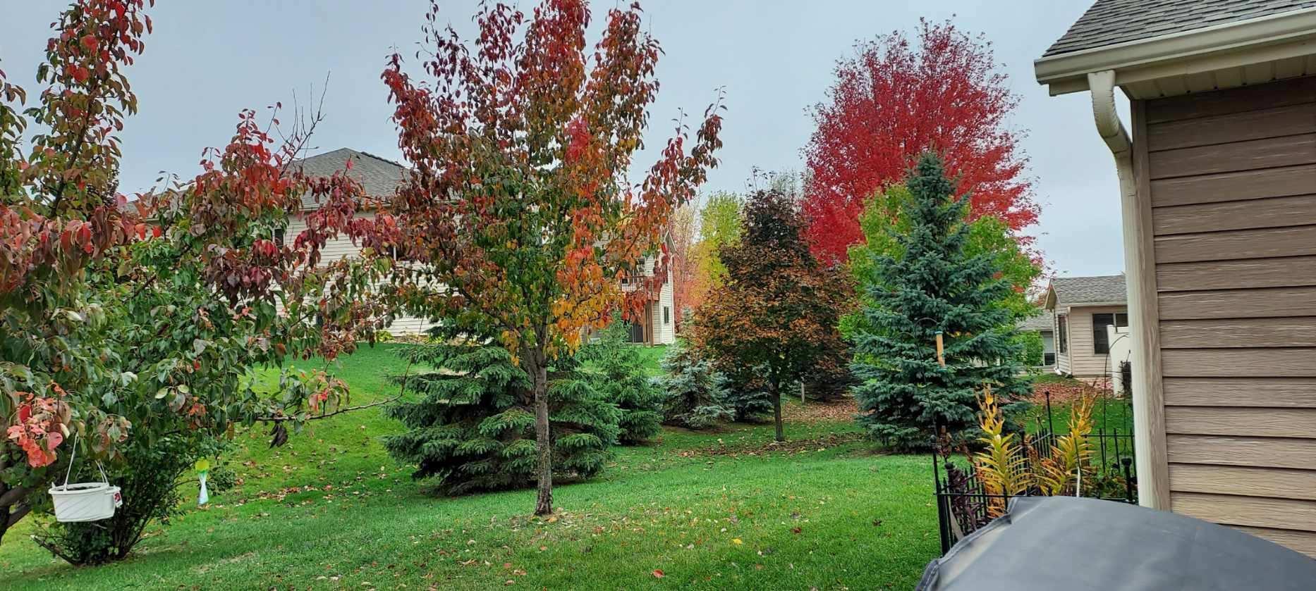 948 Southern Ridge Drive Southwest Rochester, MN 55902 - Photo 32 of 35