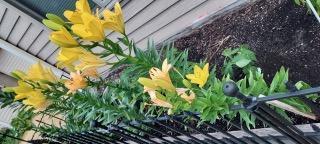 948 Southern Ridge Drive Southwest Rochester, MN 55902 - Photo 33 of 35