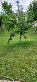 948 Southern Ridge Drive Southwest Rochester, MN 55902 - Photo 34 of 35