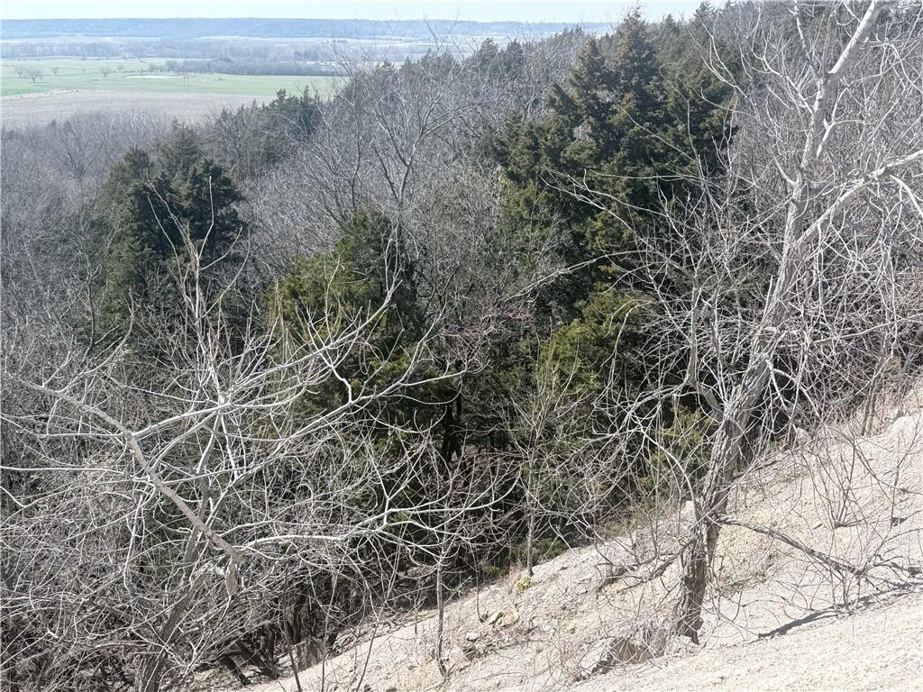 5886 Cr 3570 Road Neodesha, KS 66757 - Photo 6 of 56