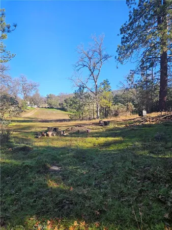 a view of a field with an ocean view