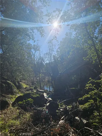 a backyard of a house