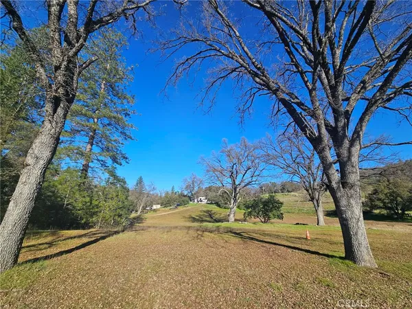 a view of a yard with an tree and plants