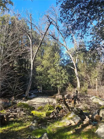 a view of a yard with an tree