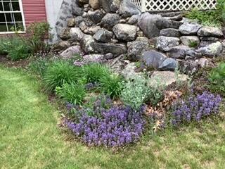 5 Pond Shore Way Orland, ME 04472 - Photo 51 of 61 IMG_2507