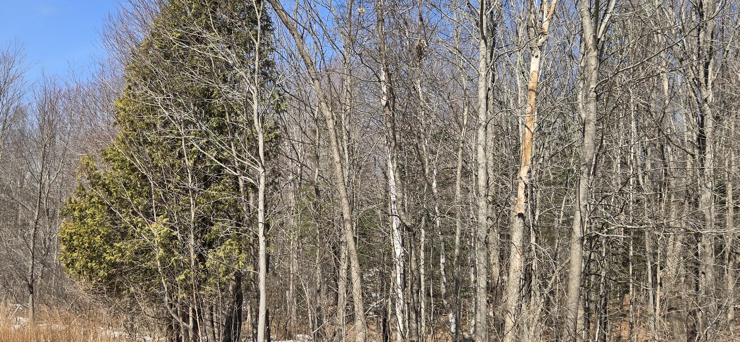 R12-010 Main Street Sumner, ME 04292 - Photo 3 of 9 20260313_125844