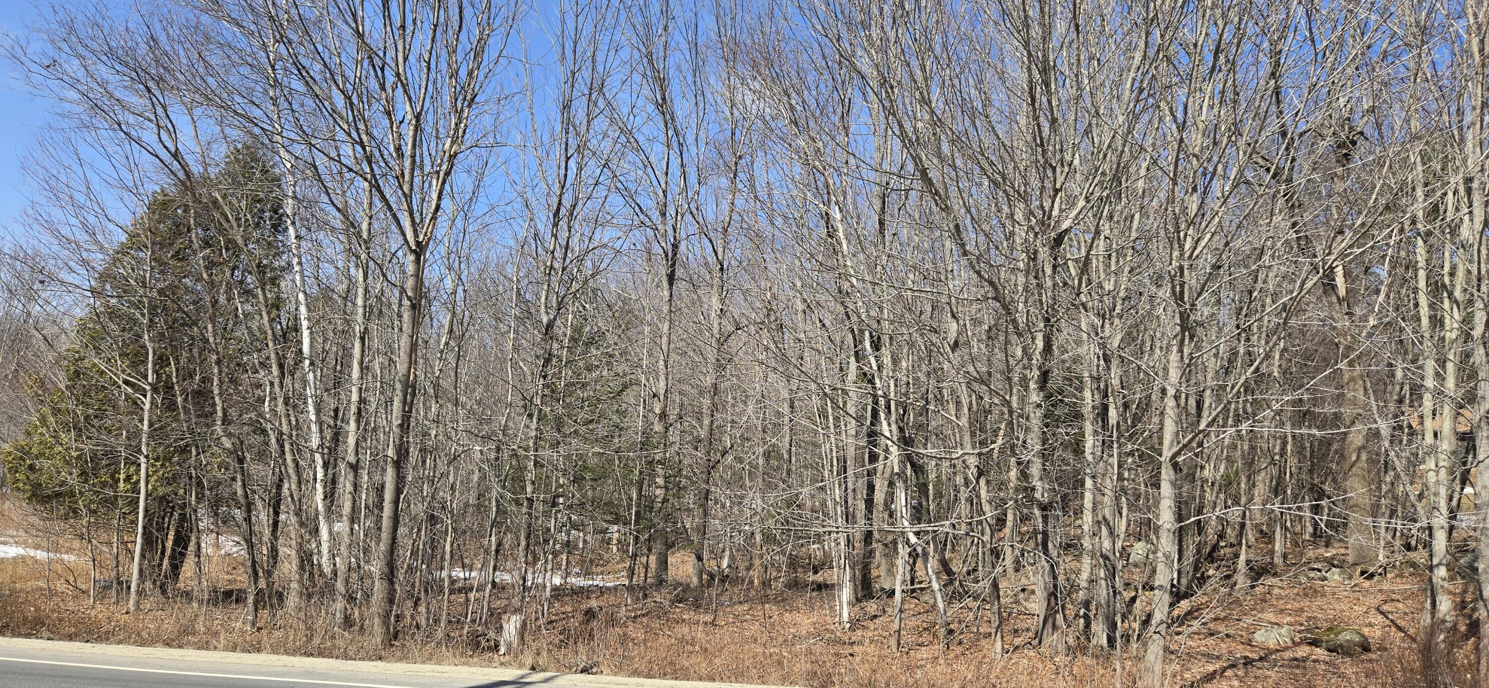 R12-010 Main Street Sumner, ME 04292 - Photo 4 of 9 20260313_125932