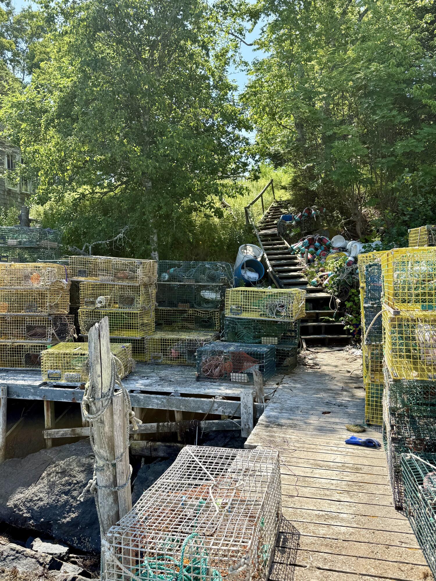 399 Mooseneck Road Addison, ME 04606 - Photo 29 of 36 IMG_6196