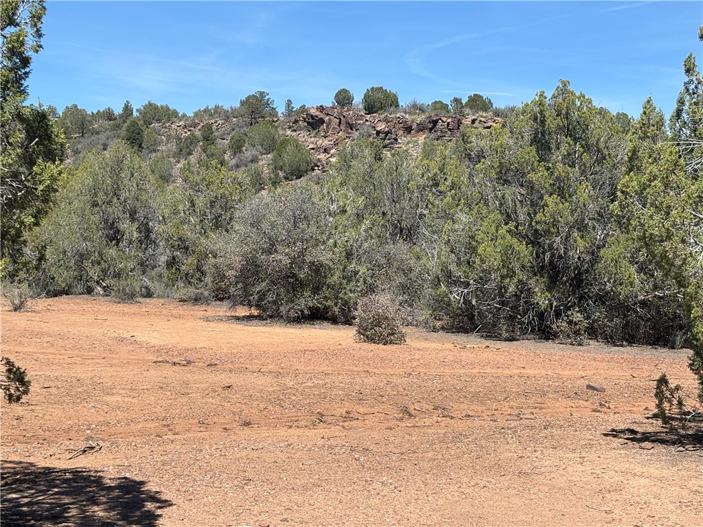 352-38-012 352-38-012 Badger Ridge Road Kingman, AZ 86401 - Photo 20 of 31
