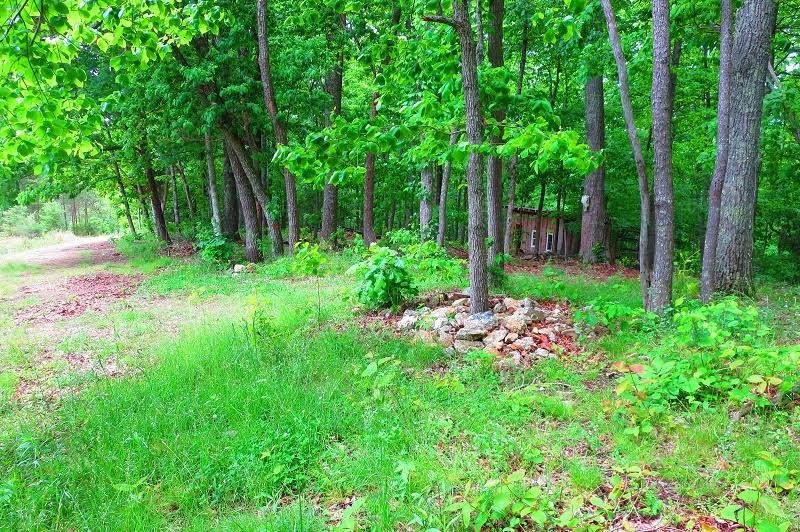 1833 Rackum Road Thorn Hill, TN 37881 - Photo 21 of 24 Gallery Image 21