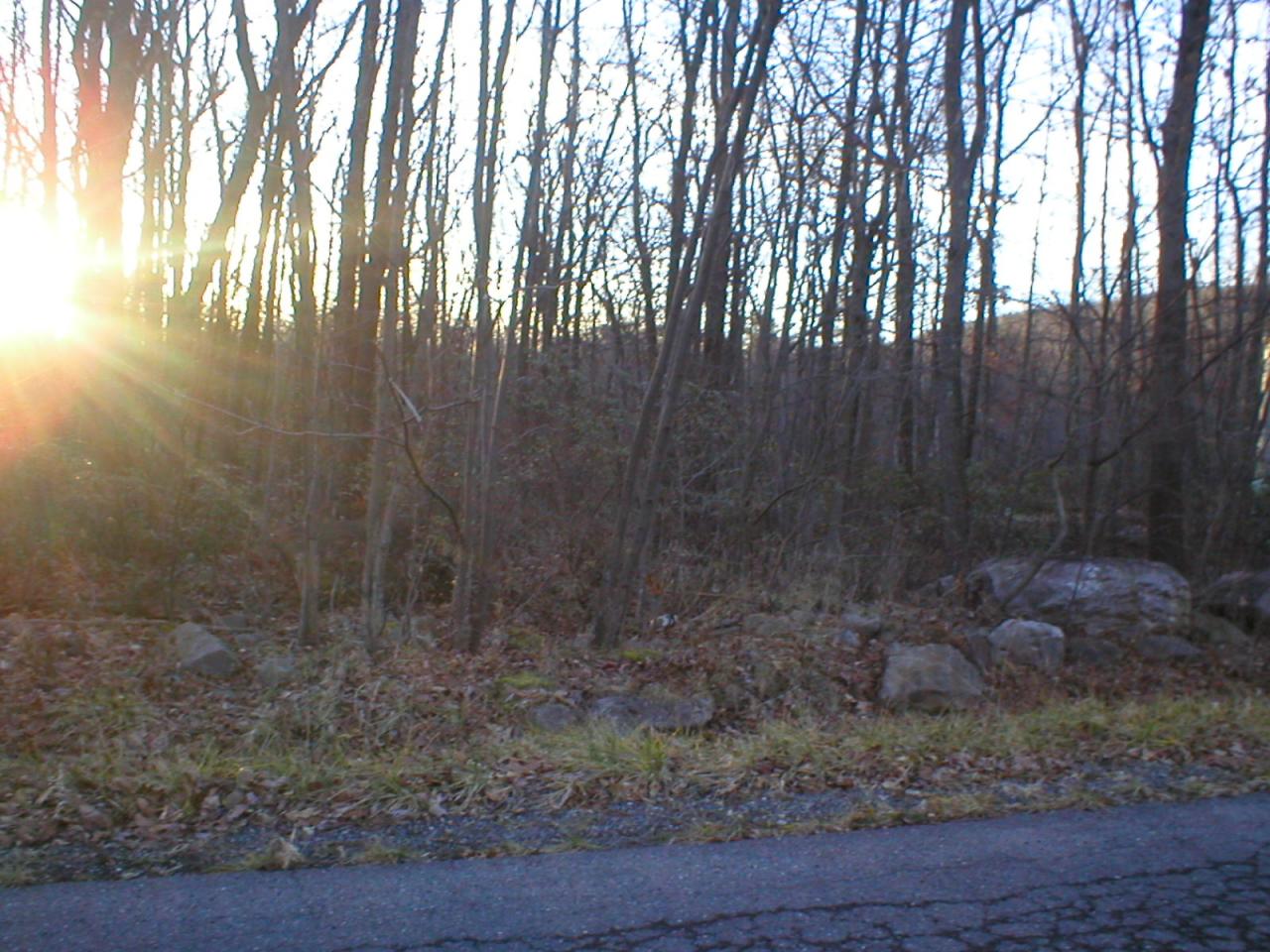 Lot #250 Rt 115 Service Road Effort, PA 18330 - Photo 1 of 3 View 1
