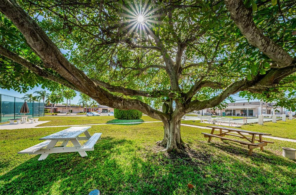 1 Boca Ciega Point Boulevard, Unit 314 St. Petersburg, FL 33708 - Photo 62 of 89 a view of a swimming pool with a garden and trees